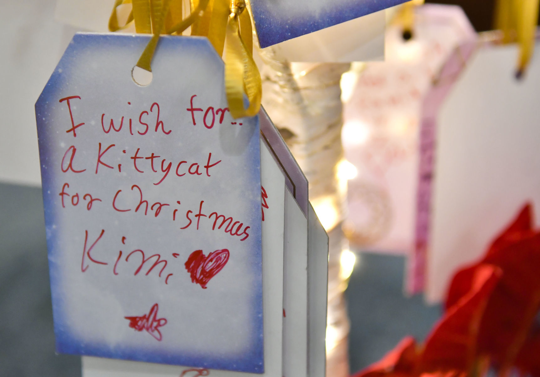 113018 Library wishing tree 09.jpg
